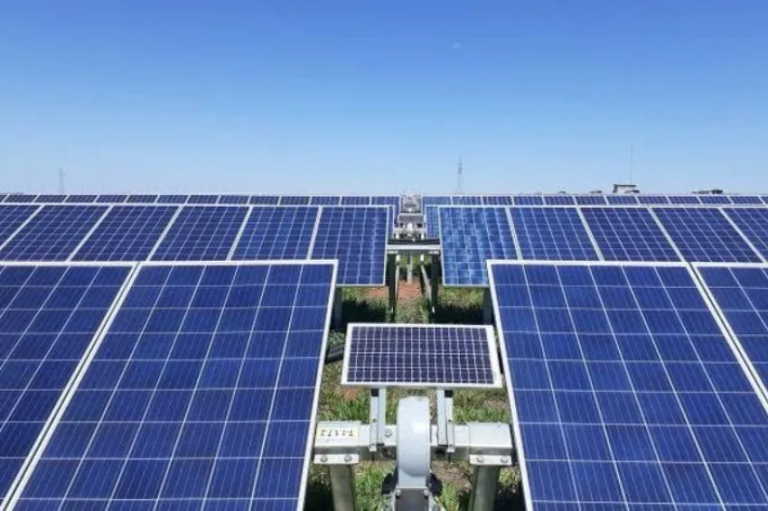 imagem_2025-05-13_111228406